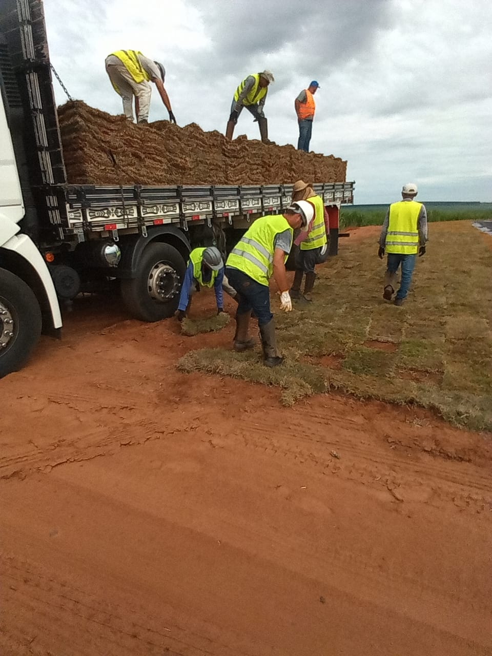 Equipe descarregando grama