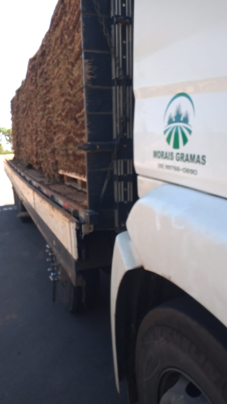 Caminhão com logo Verde Gramados