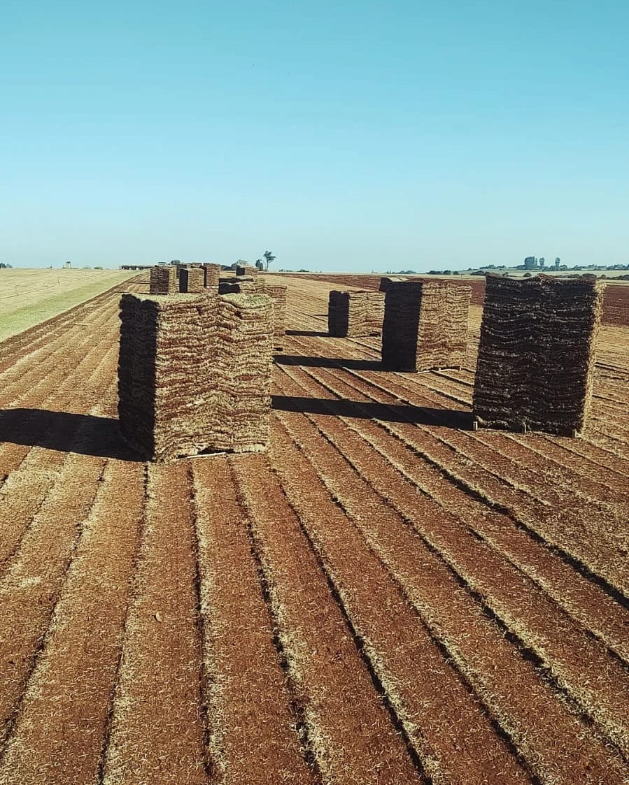 Campo com grama empilhada