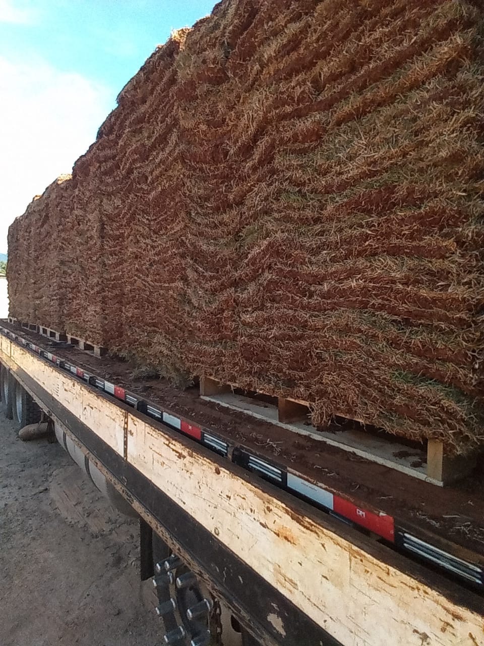 Grama empilhada em carreta