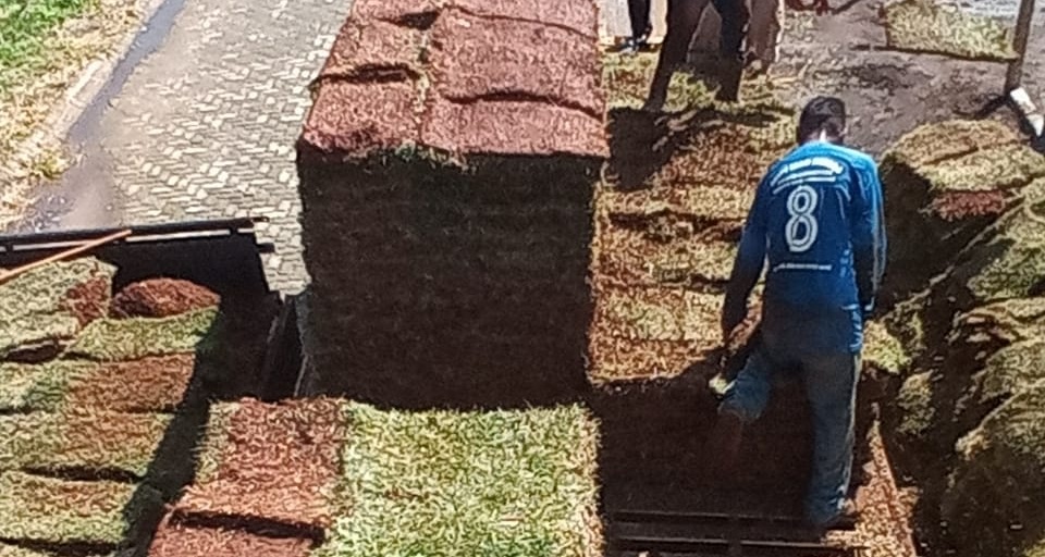 Homem cortando grama