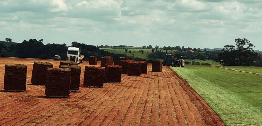 Pessoa limpando campo de grama